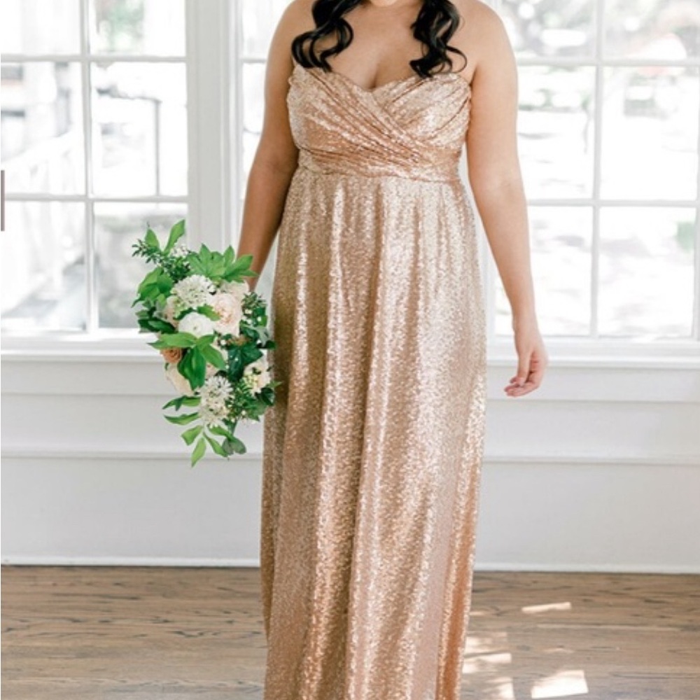 NWT Revelry Celeste Sequin Maxi Dress (Cabernet)